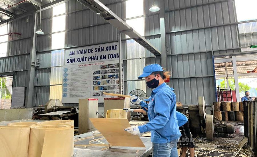 Total import and export turnover in the first 6 months of 2026 reached nearly 550 billion USD, an increase of 27.1% compared to the same period last year. Photo: Tuyet Lan