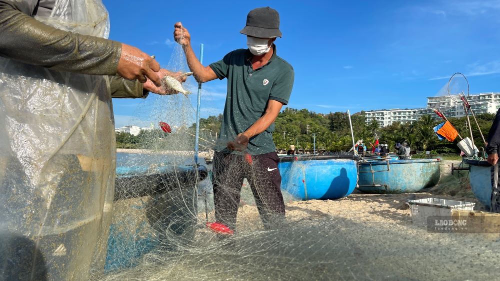 Ngư dân gỡ lưới tại bãi biển, thu hút du khách đến xem và mua hải sản. Ảnh: Duy Tuấn