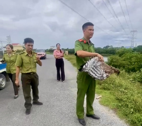 La policía de la comuna de Thieu Hoa, en coordinación con el Departamento de Protección Forestal, organizó la liberación de aves entregadas por los residentes al medio ambiente natural. Foto: Policía de Thanh Hoa