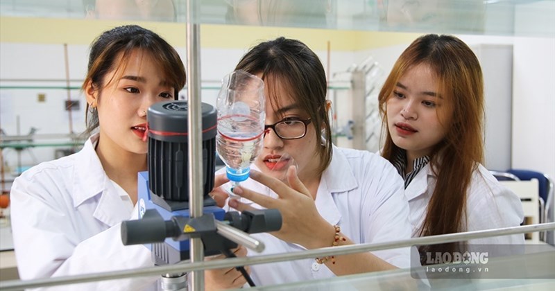 Summary of benchmark scores for Chemistry Pedagogy major