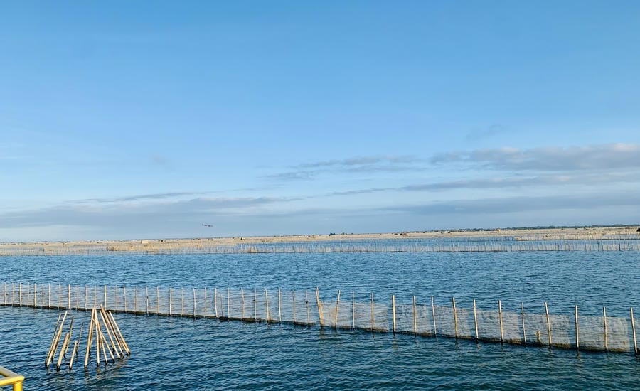 Author (small photo) and the beauty of Tam Giang lagoon. Photo: Character provided