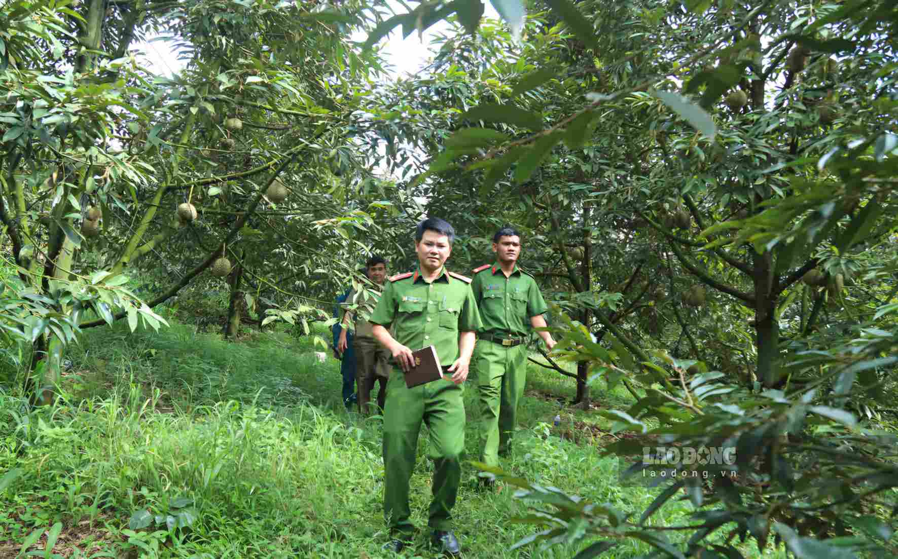 Lực lượng công an tuần tra địa bàn bảo đảm an ninh trật tự vụ mùa sầu riêng trên địa bàn xã Đạ Huoai 2. Ảnh: Phúc Khánh