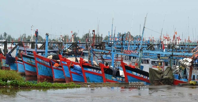 Cảng neo trú tàu thuyền Tịnh Hòa chật kín tàu cá neo đậu mỗi khi có mưa bão, tiềm ẩn nguy cơ cháy nổ. Ảnh: Đông Giang