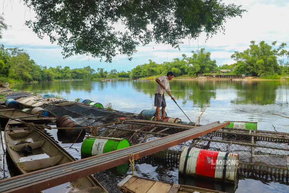 Ông Lê Văn Dương và chiếc lồng trống không khi toàn bộ cá chết sạch sau một đêm. Ảnh: Hồng Quân