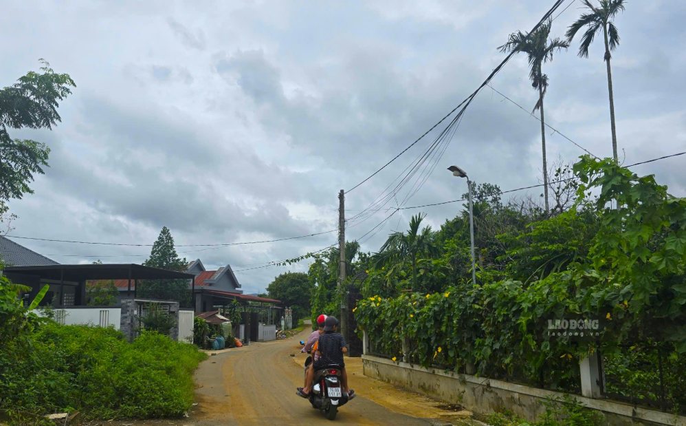 The asphalt road to Tan Lap commune residential area has not been named. Photo: Hung Tho