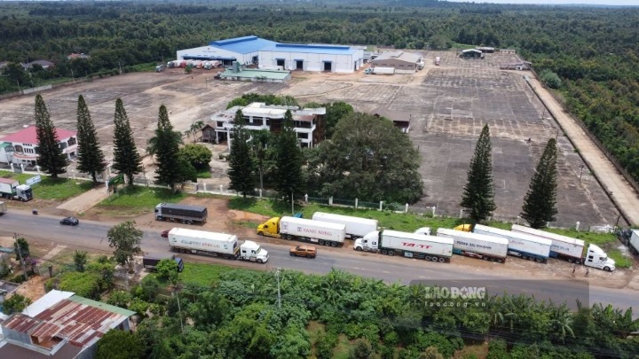 Công an tỉnh Đắk Lắk tăng cường kiểm tra đột xuất tài xế container nhằm phòng ngừa tai nạn giao thông. Ảnh: Bảo Lâm
