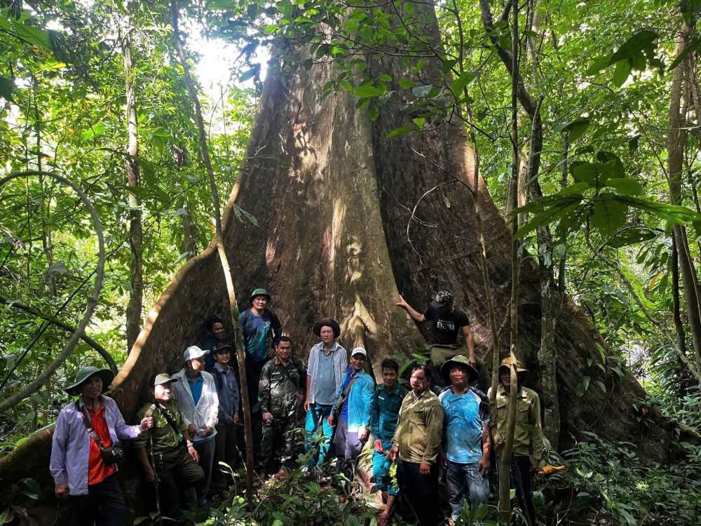Đoàn khảo sát thực địa tuyến trekking Dốc Ba Tầng – Bùi Hui nhằm xây dựng sản phẩm du lịch đặc trưng của địa phương. Ảnh: UBND xã Đặng Thùy Trâm