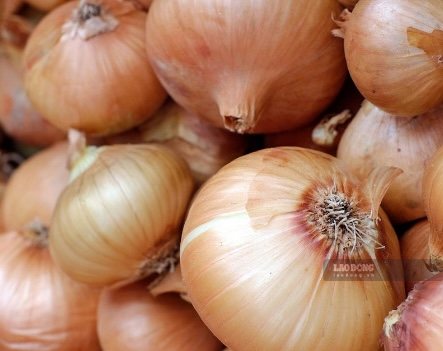 Onions can help reduce blood fat. Photo: Kieu Vu