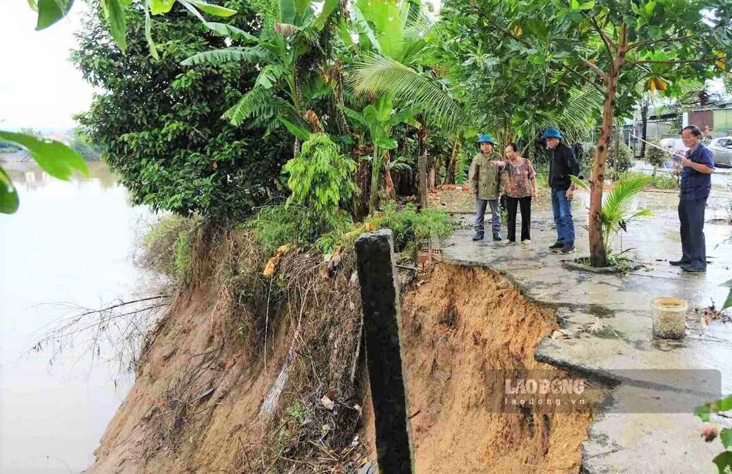 Những năm qua, nước sông Đồng Nai dâng cao khiến suối Chuồng Bò (xã Cát Tiên) bị sạt lở nghiêm trọng. Ảnh: Phúc Khánh