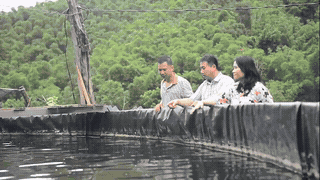 Raising sturgeon on a cold stream, the couple earns billions of VND each year. Photo: Quach Du