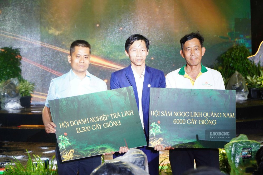 Đại diện các Hiệp hội doanh nghiệp trao tặng cây sâm giống cho đồng bào nhằm hỗ trợ phát triển vùng trồng sâm Ngọc Linh. Ảnh: Nguyễn Linh