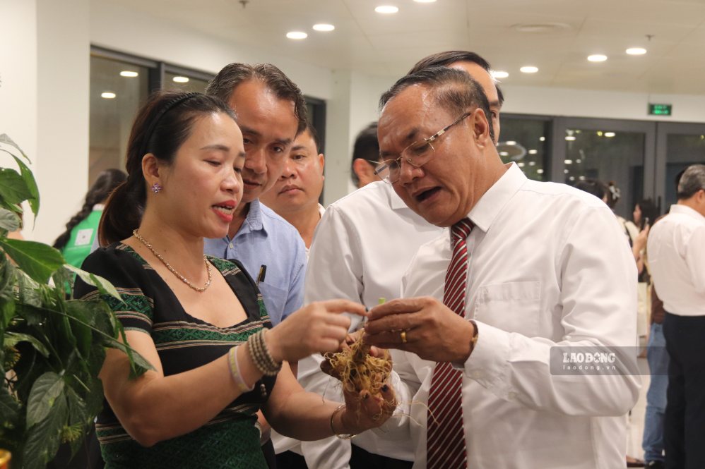 A large number of people and tourists attend the opening ceremony of the Da Nang International Ginseng and Medicinal Materials Festival 2026. Photo: Nguyen Linh