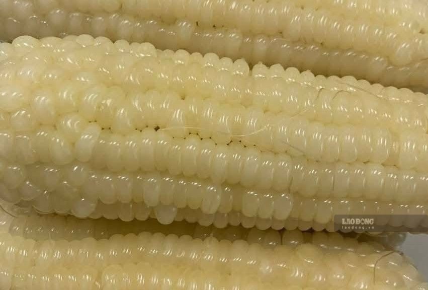 Corn is one of the foods that can support liver function. Photo: Kieu Vu