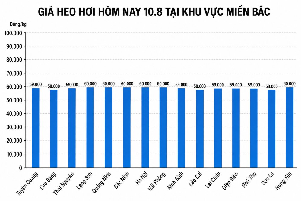 Giá heo hơi hôm nay 10.8 tại khu vực miền Bắc. Đồ họa sử dụng AI