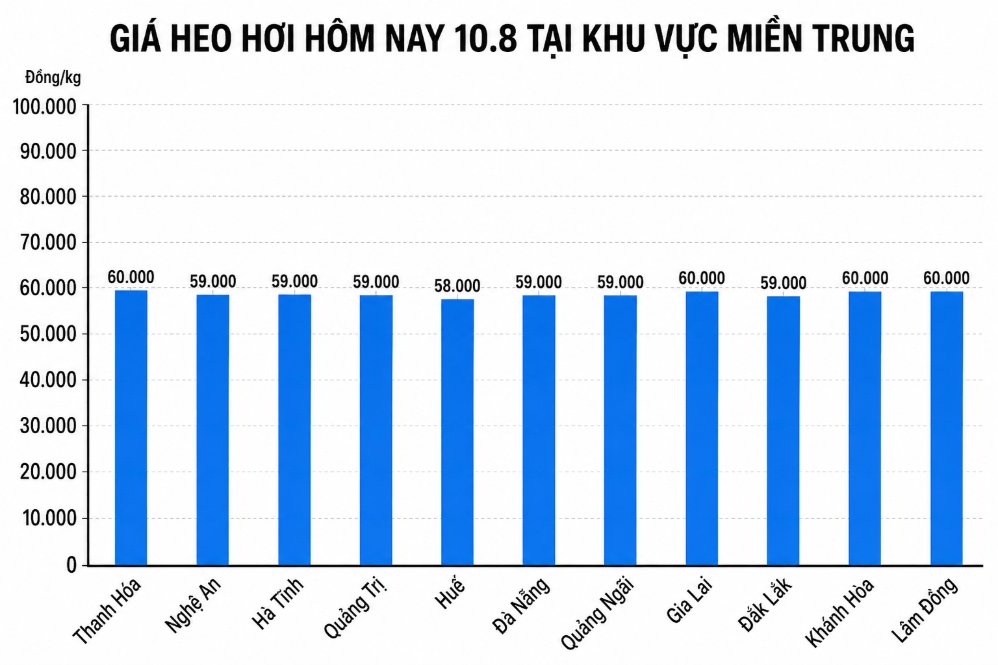 Giá heo hơi hôm nay 10.8 tại khu vực miền Trung. Đồ họa sử dụng AI