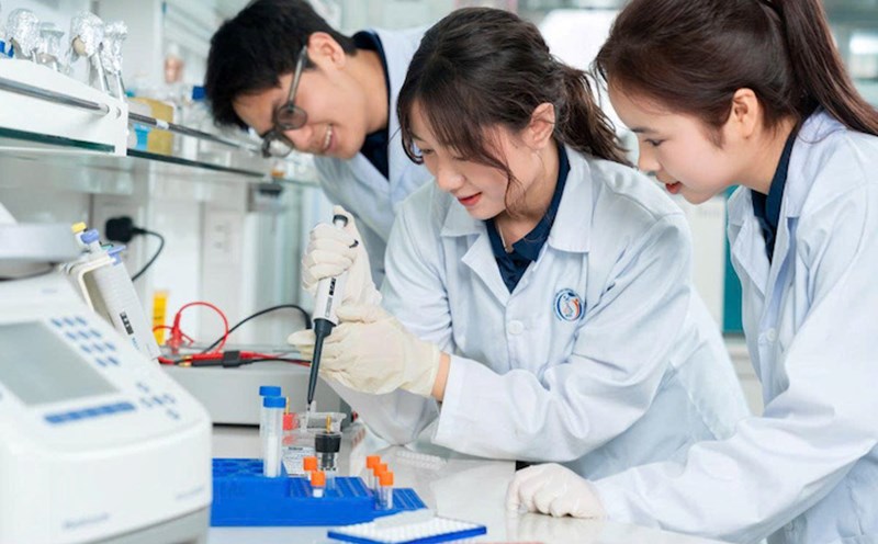 The Government's scholarship policy is the reason why the benchmark scores for Artificial Intelligence, Microchip Design, Electrical - Electronics, and Automation majors have increased. Photo: Phenikaa University