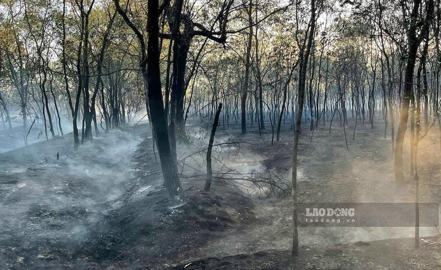 The smoldering vegetation layer made firefighting work difficult. Photo: PV Group