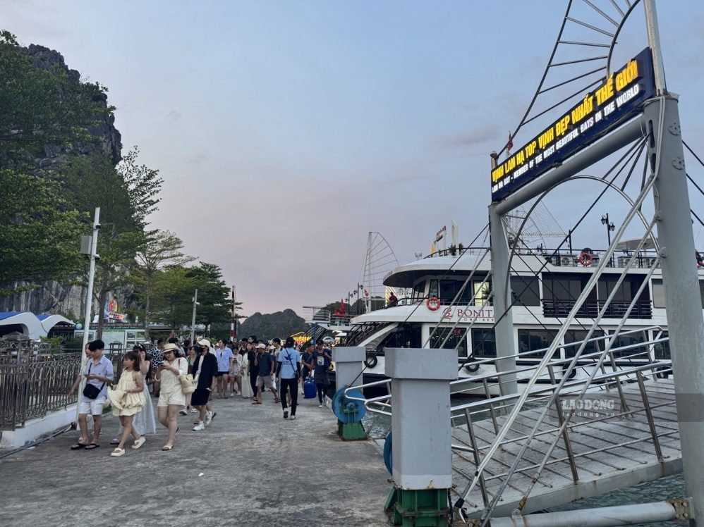 Bến tàu Cái Bèo.