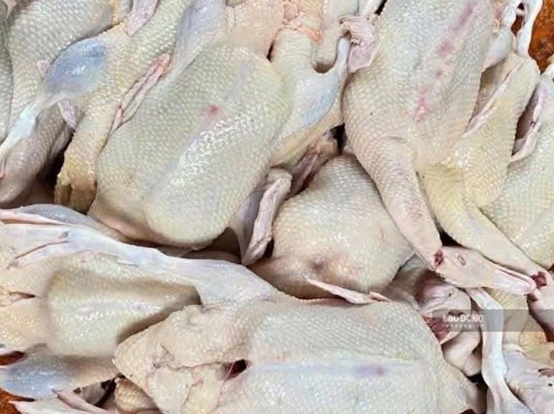 Duck meat is nutritious, but some people should limit eating it in large quantities to avoid affecting their health. Photo: Kieu Vu