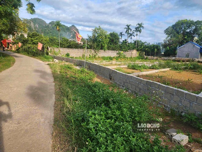 Land plot prices in many places decrease sharply. Photo: Minh Nguyen