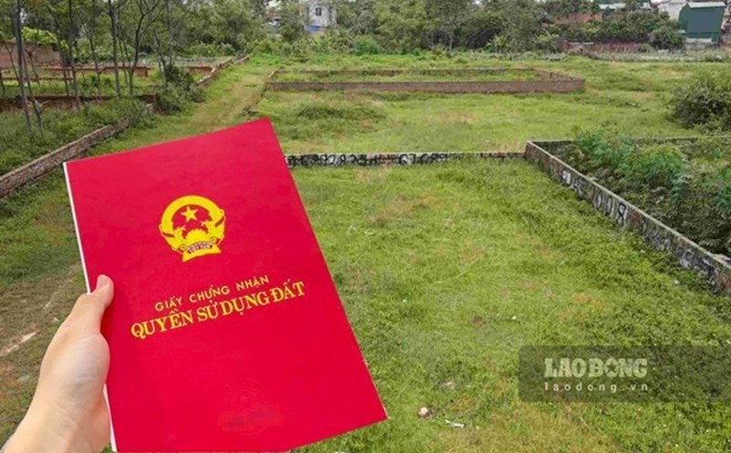 The issuance of red books for land in the planning needs to be based on dossiers, land use origin and current legal regulations. Photo: Phan Anh