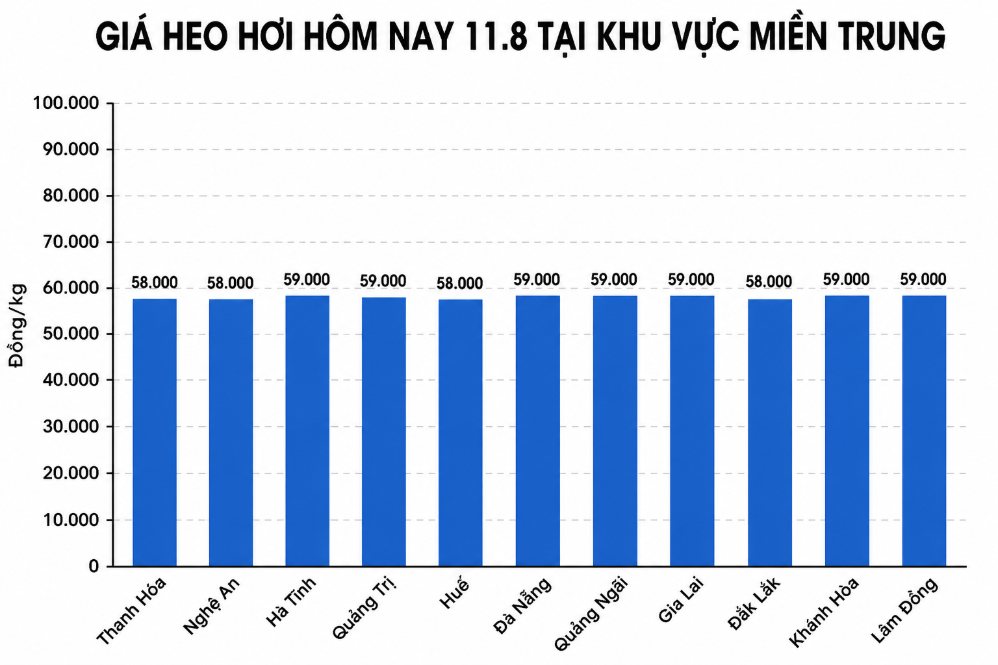 Giá heo hơi hôm nay 11.8 tại khu vực miền Trung. Đồ họa sử dụng AI