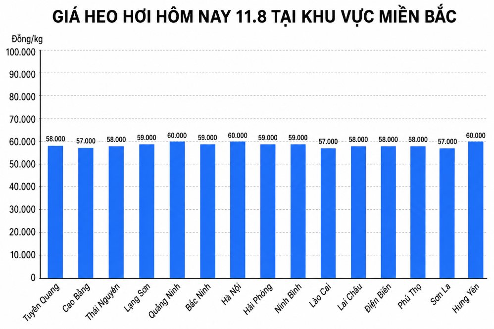 Giá heo hơi hôm nay 11.8 tại khu vực miền Bắc. Đồ họa sử dụng AI