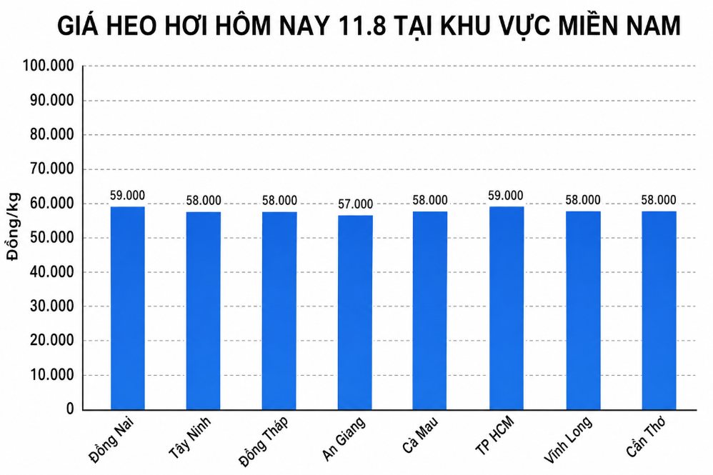 Giá heo hơi hôm nay 11.8 tại khu vực miền Nam. Đồ họa sử dụng AI