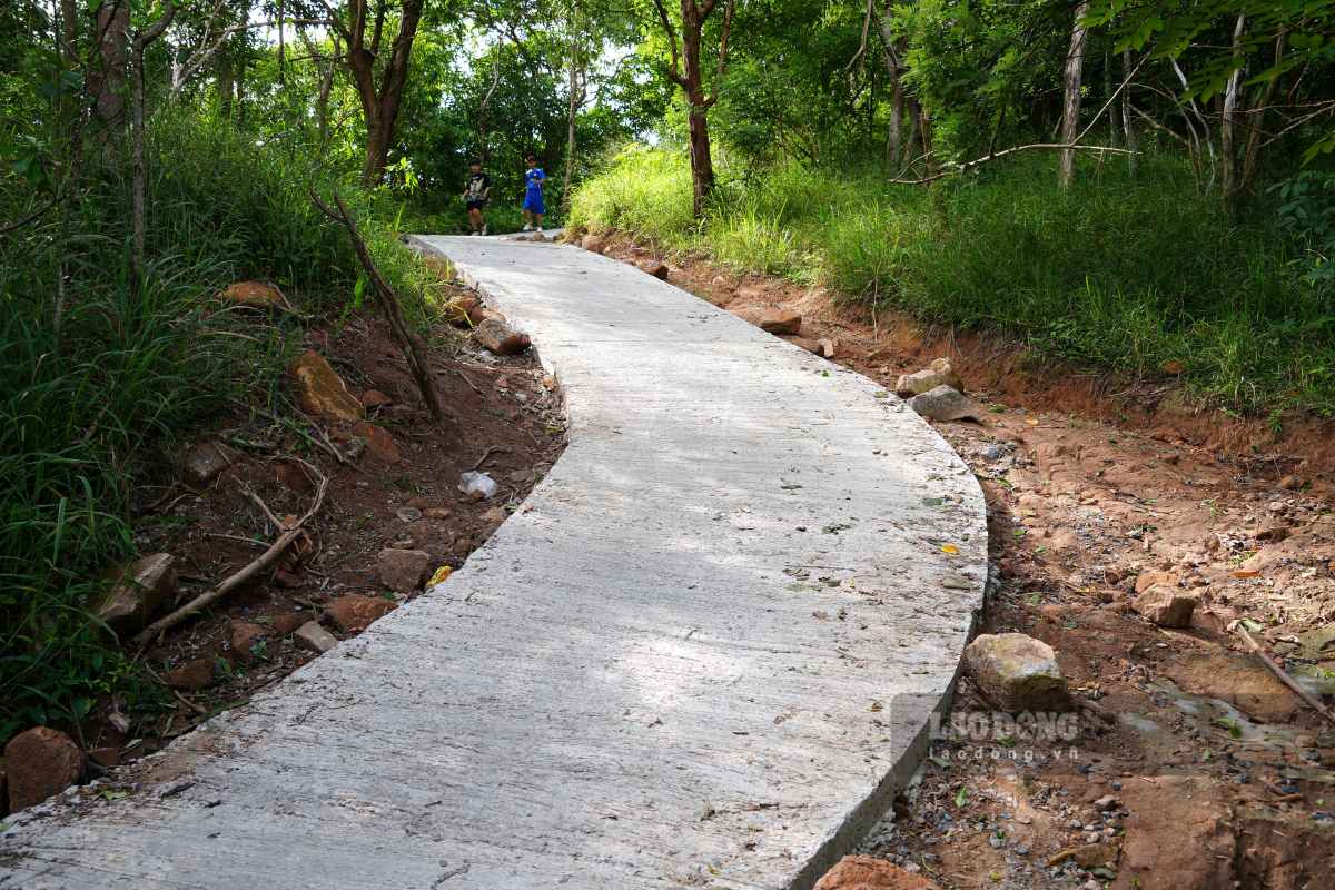 Một số đoạn đường dốc cao, quanh co, hoặc có cây cối rậm rạp tạo ra các trải nghiệm khác nhau cho người tham gia trekking. Ảnh: Thành An