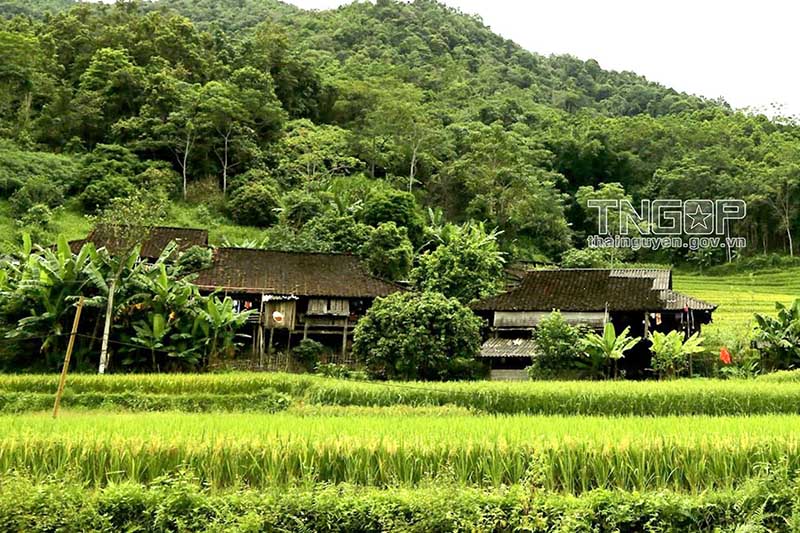Những ngôi nhà nhỏ, bản làng nép mình bên triền đồi, xen giữa các thửa ruộng tạo nên bức tranh phong cảnh đặc trưng. Ảnh: Cổng TTĐT tỉnh Thái Nguyên