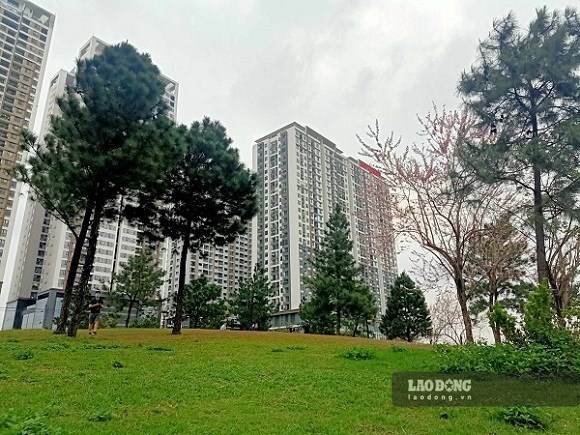 The real estate market faces many challenges. Photo: Binh Nguyen