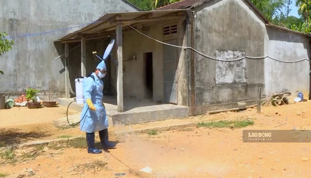 Functional agencies in Quang Ngai spray chemicals to serve animal disease prevention and control. Photo: Thao Linh