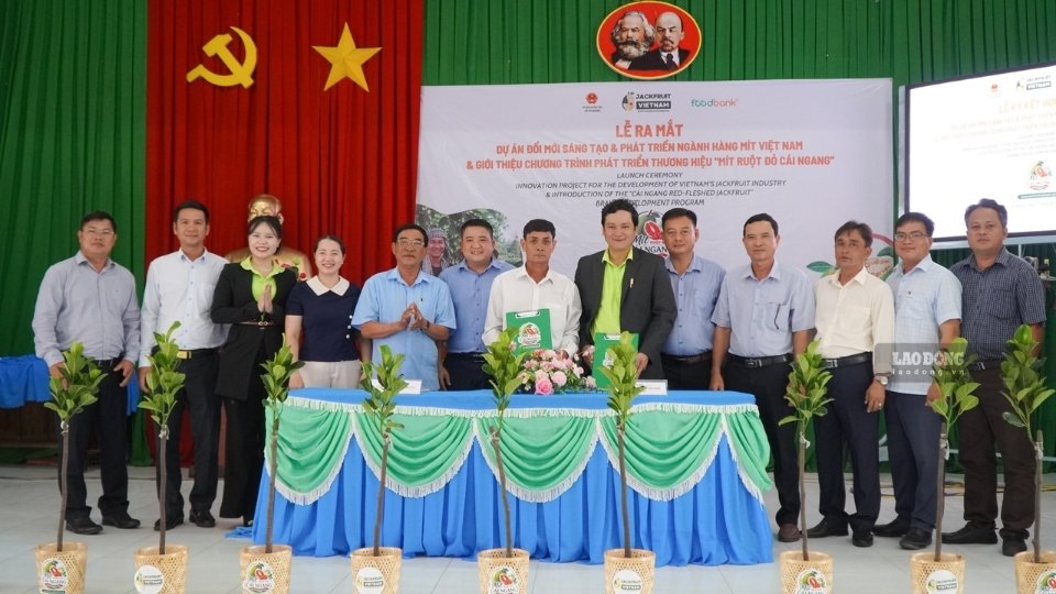 Dự án Jackfruit Việt Nam và HTX Hậu Lộc ký kết hợp tác phát triển vùng nguyên liệu. Ảnh: Hoàng Lộc