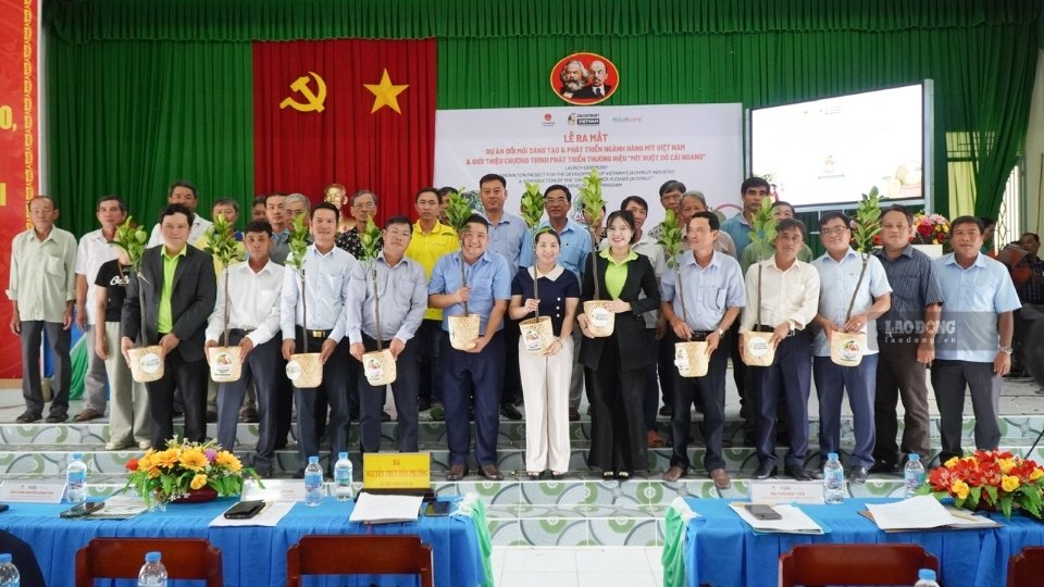 Vinh Long agricultural products expect to increase value through brand building. Photo: Hoang Loc