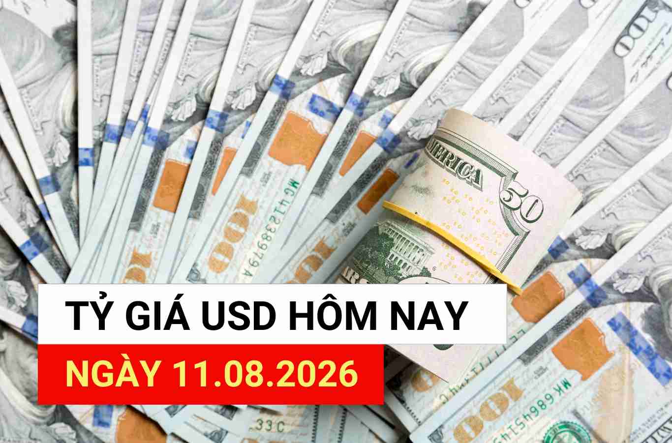 USD exchange rate today 11. 8: Central exchange rate continues to increase sharply