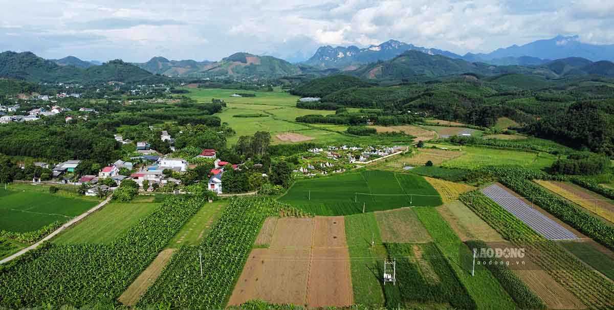 Tuyen Quang province is accelerating the progress of building a land database. Photo: Nguyen Tung