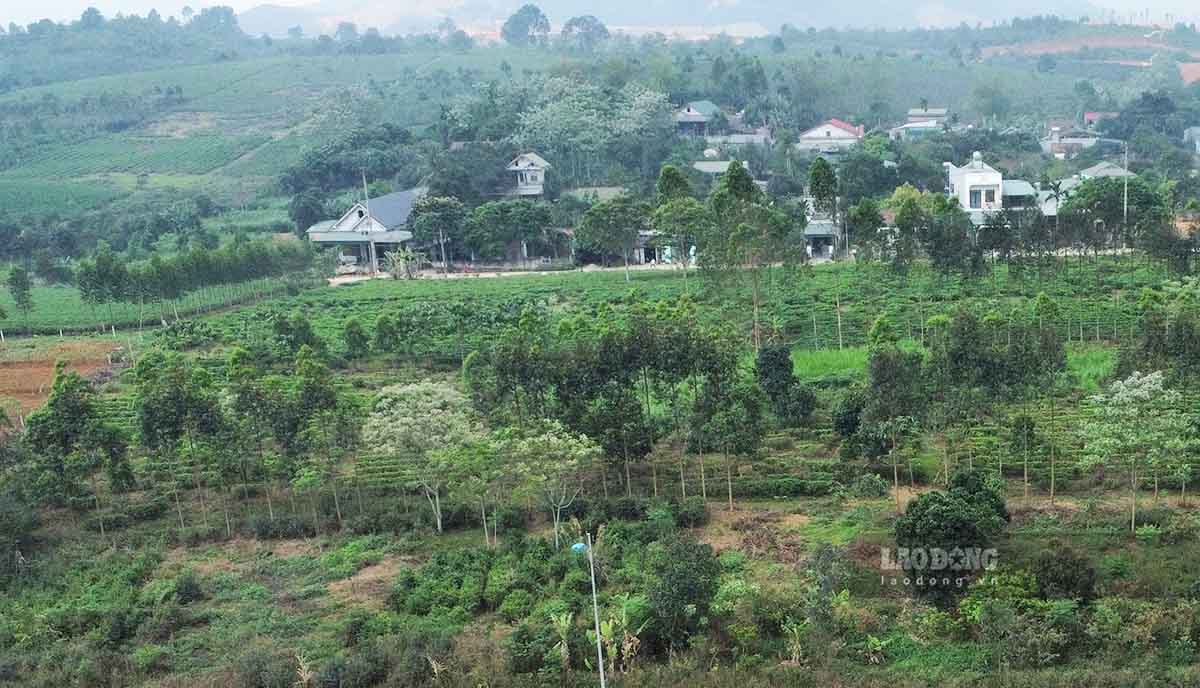 Nhiều xã tại Tuyên Quang vẫn trong trình trạng không có sở sở dữ liệu đất đai. Ảnh: Nguyễn Tùng.