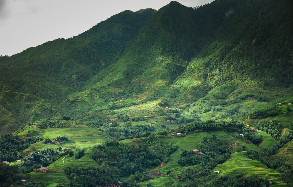 Green rice season, Ta Van has a pure and peaceful beauty. Photo: Andy Trung