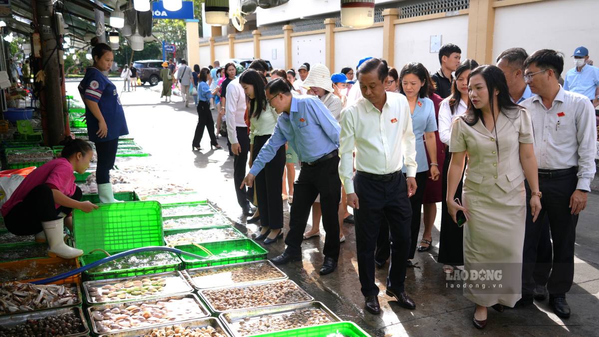 Field inspection at Xom Luoi market in Vung Tau on food safety management. Photo: Thanh An