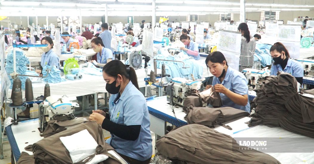 Ca Mau currently has a majority of unskilled labor, and it is forecast that there will be a shortage of high-quality human resources. Photo: Nhat Ho