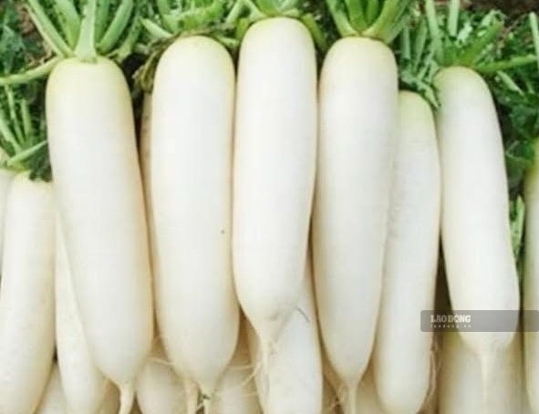White radish can support uric acid excretion, which is beneficial for people with gout. Photo: Kieu Vu