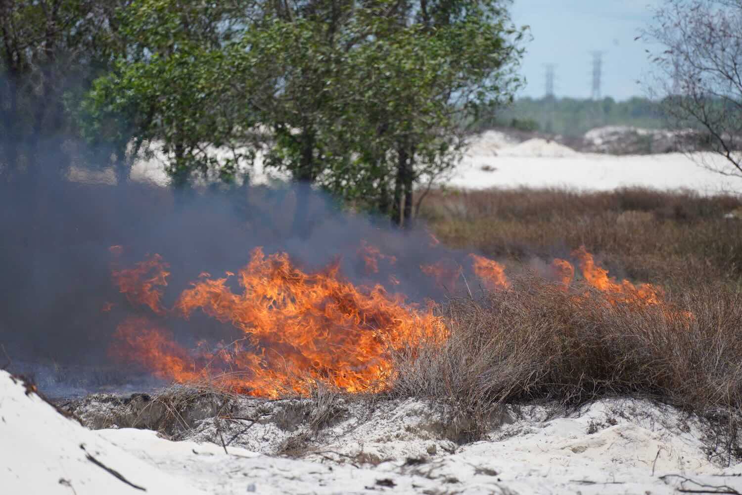 Forest fire scene. Photo: Cam Hong Commune People's Committee.