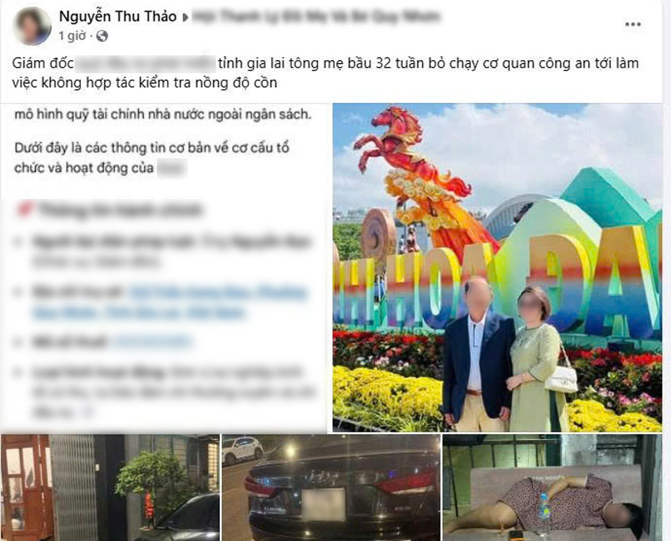 Thai phụ Nguyễn Thu Thảo đăng tải thông tin tố giám đốc của 1 đơn vị ở Gia Lai tông mình rồi rời đi. Ảnh: Facebook nhân vật