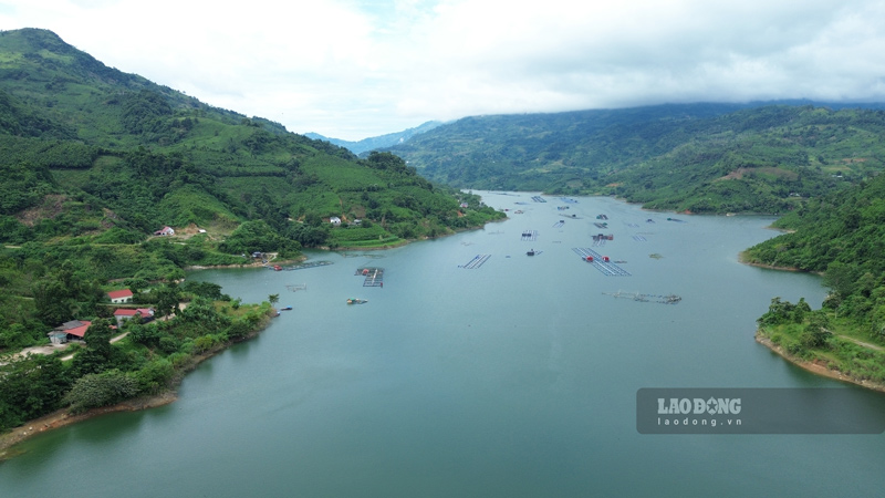 Behind Bac Ha Hydropower Plant (Bao Nhai commune, Lao Cai province), people are developing the economy from cage fish farming activities. Photo: Dinh Dai