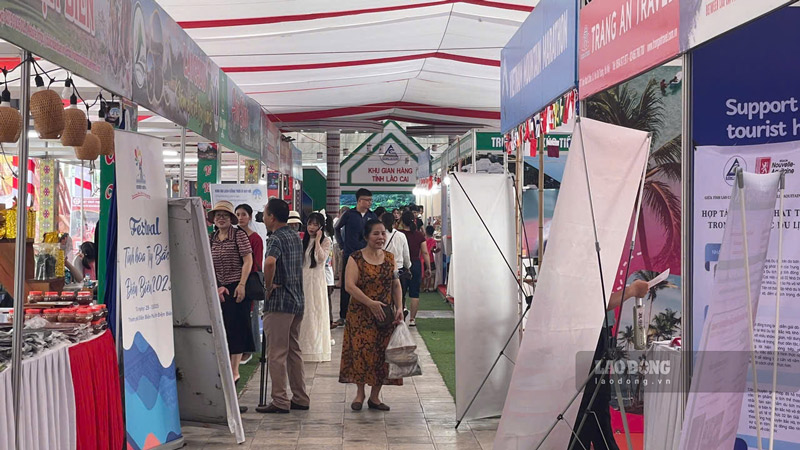 Lao Cai Tax Authority will strengthen data exploitation to manage business operations. Photo: Dinh Dai
