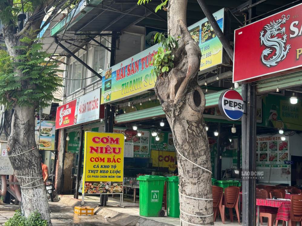 Địa chỉ 100-102 Trần Phú hiện có tấm bảng quán hải sản “Thanh Sương“, nhái thương hiệu nổi tiếng cùng tên ở Nha Trang. Ảnh: Hữu Long