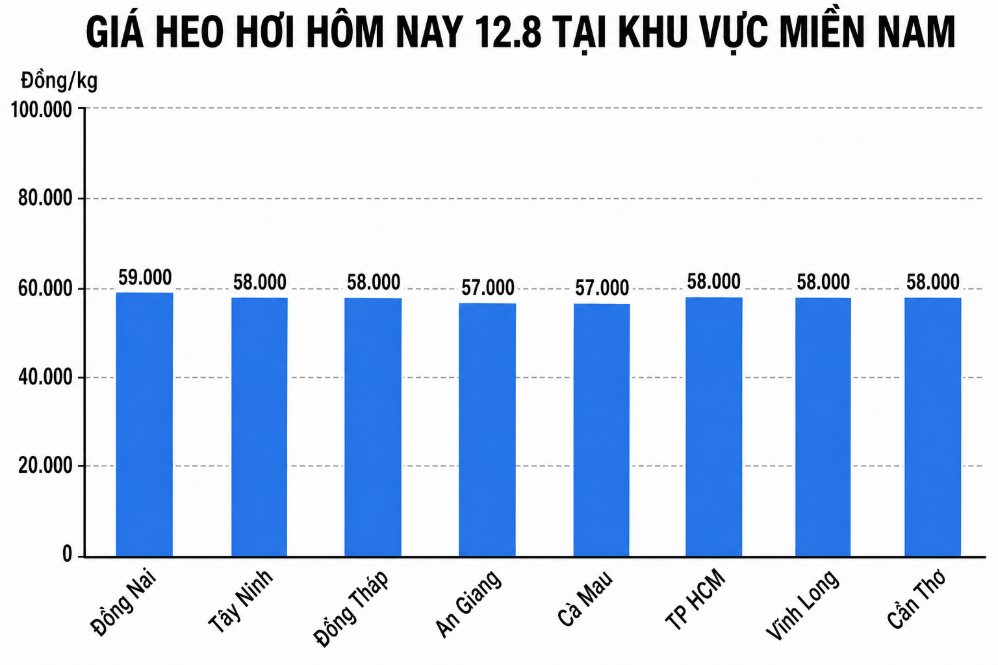 Giá heo hơi hôm nay 12.8 tại khu vực miền Nam. Đồ họa sử dụng AI