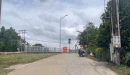 Today, August 12, the pedestrian path on Ghenh bridge is opened to traffic, people escape the scene of going around. Photo: HAC