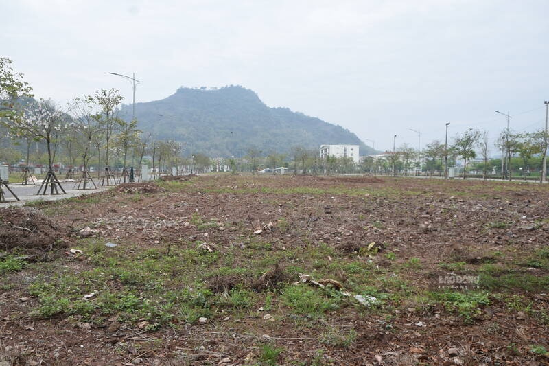 Những khu đất nền rộng nhưng không có giao dịch hoặc nhà xây mới. Ảnh: Trường Sơn