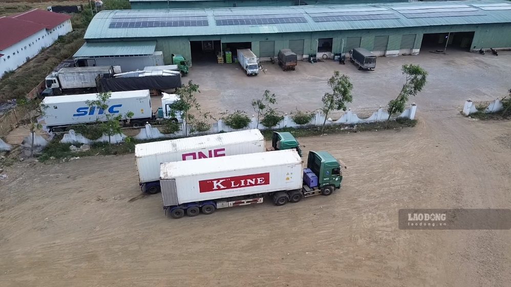 Các nhà máy nông sản, chế biến sẽ được đầu tư sôi động, nhằm đưa hàng về cảng biển để ra thị trường thế giới. Ảnh: Thanh Tuấn 